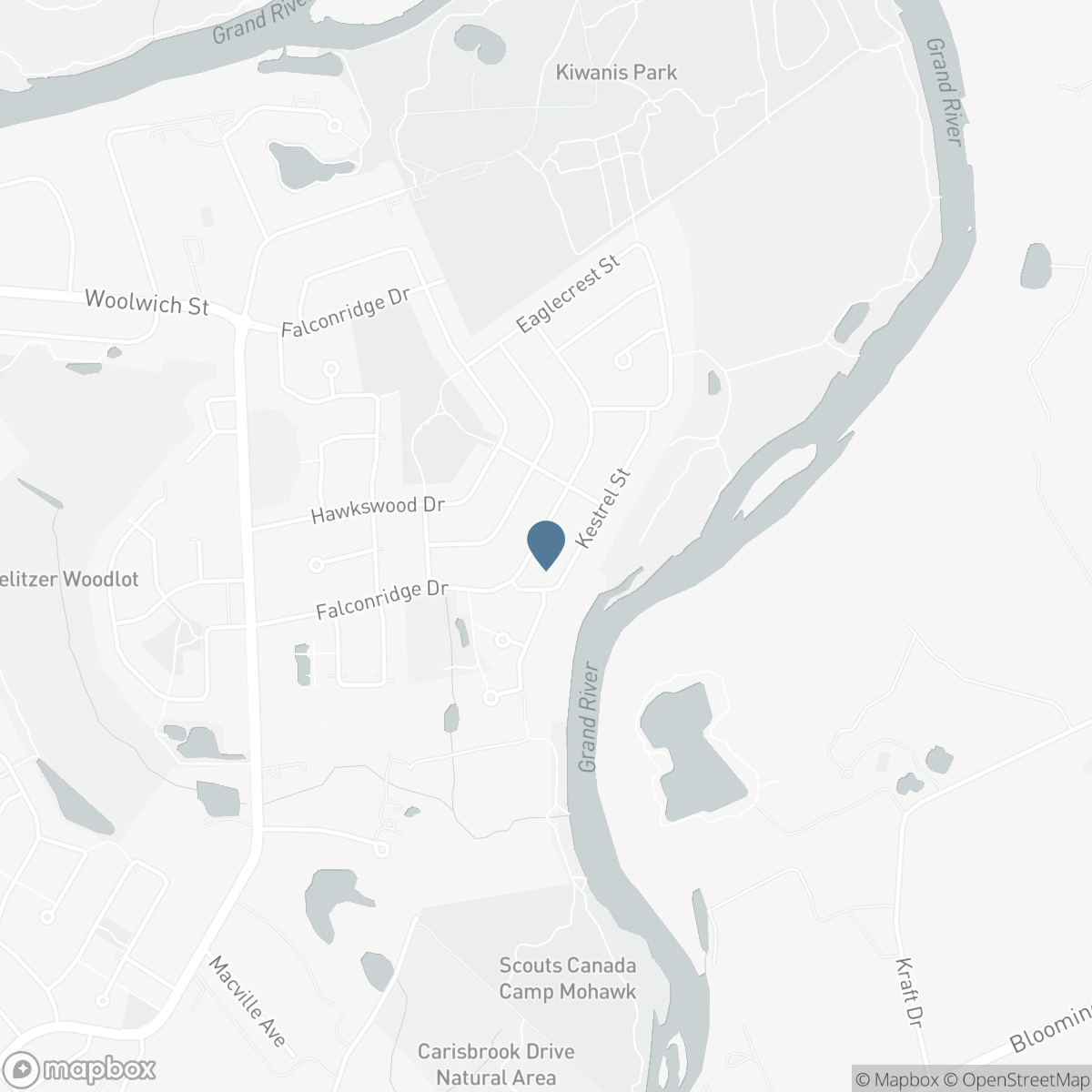 141 FALCONRIDGE Drive, Kitchener, Ontario N2K 4J9